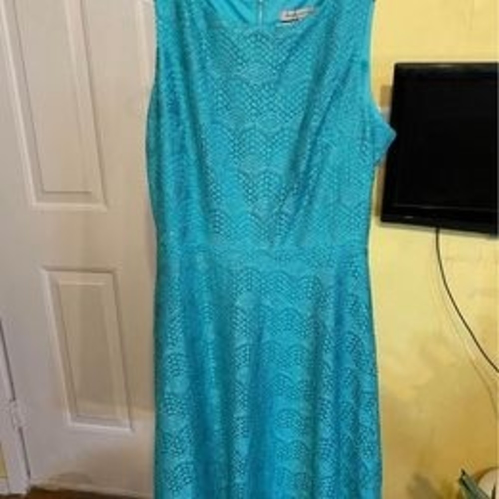 NWT Danny& Nicole Ladies dress Sz 10p